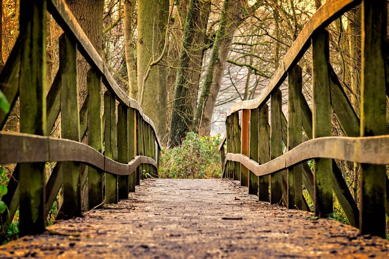 Magical Pathway
